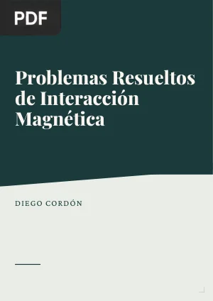 Problemas Resueltos de Interacción Magnética