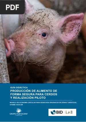 Producción de Alimento de Forma Segura para Cerdos