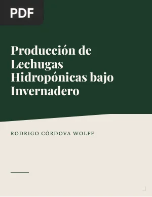 Producción de Lechugas Hidropónicas bajo Invernadero