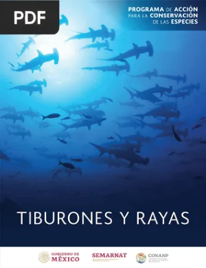Programa de Acción para la Conservación de Tiburones y Rayas