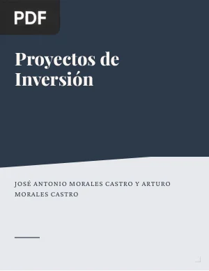 Proyectos de Inversión