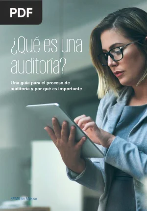 ¿Qué es una auditoría?