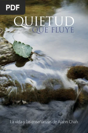 Quietud que Fluye