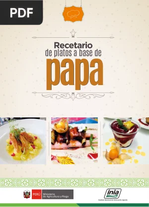 Recetario de Platos a Base de Papa