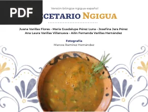 Recetario Ngigua