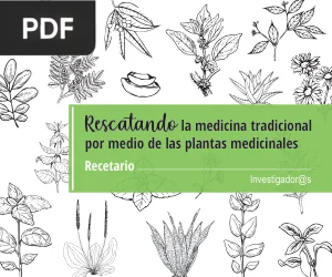 Rescatando la medicina tradicional por medio de las plantas medicinales. Recetario