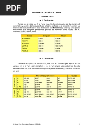 Resumen de Gramática Latina