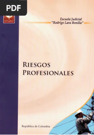 Riesgos Profesionales