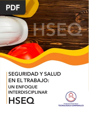 Seguridad y Salud en el Trabajo: Un Enfoque Interdisciplinar