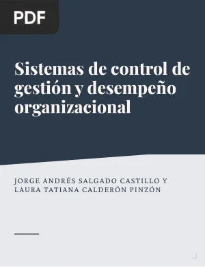 Sistemas de control de gestión y desempeño organizacional: una revisión conceptual