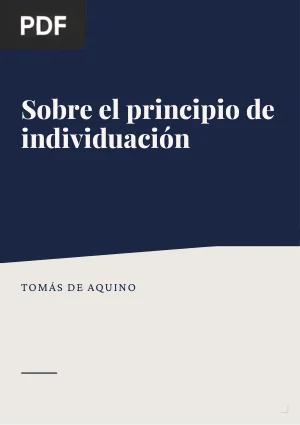 Sobre el principio de individuación