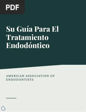 Su Guía Para El Tratamiento Endodóntico