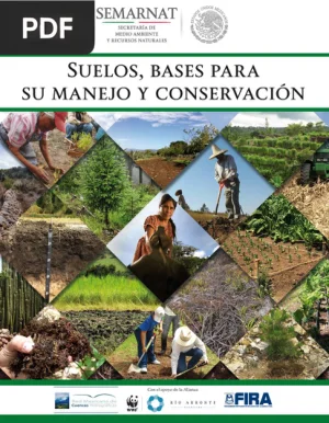 Suelos: bases para su manejo y conservación