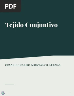 Tejido Conjuntivo
