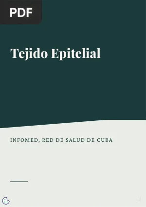 Tejido epitelial (Artículo)
