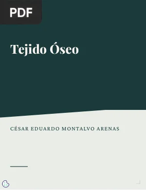 Tejido Óseo