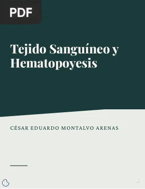 Tejido Sanguíneo y Hematopoyesis