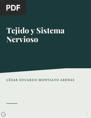 Tejido y sistema nervioso