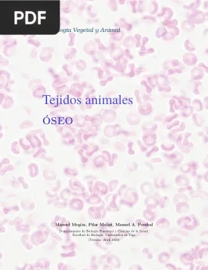 Tejidos animales. Óseo