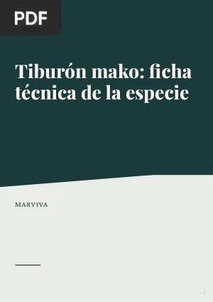 Tiburón Mako