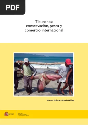 Tiburones: conservación, pesca y comercio internacional