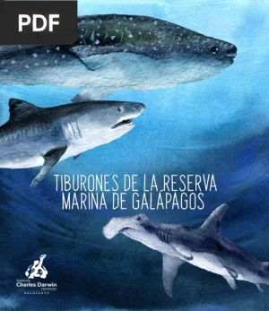 Tiburones de la Reserva Marina de Galápagos