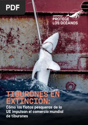 Tiburones en extinción: cómo las flotas pesqueras de la UE impulsan el comercio mundial