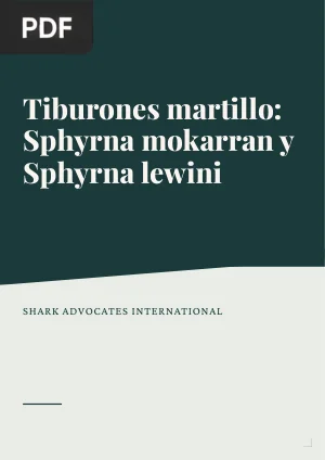 Tiburones martillo (Sphyrna mokarran y Sphyrna lewini)