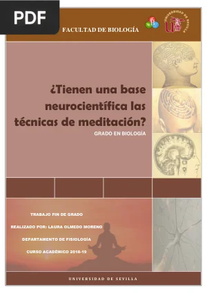 ¿Tienen una Base Neurocientífica las Técnicas de Meditación?
