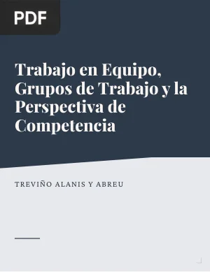 Trabajo en Equipo, Grupos de Trabajo y la Perspectiva de Competencia