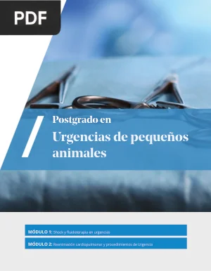 Urgencias en Pequeños Animales: Shock, Fluidoterapia y Reanimación