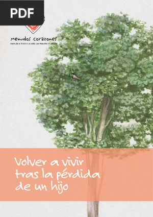 Volver a vivir tras la pérdida de un hijo