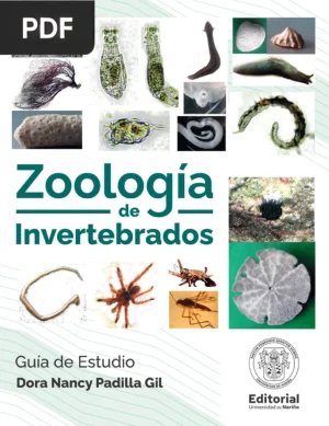 Zoología de Invertebrados